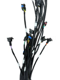Universal Engine Harness For FuelTech ECU Display FT450 FT550 4 Cylinder