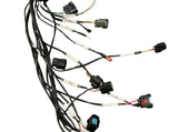 K20 K24 K Series Tucked Engine Charge Wire Harness For MR2 K Swap RWD Civic EG