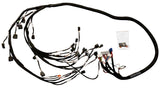 K20 K24 K Series Tucked Wiring Harness For RHD LHD RWD K-Swap Integra CRX EK EG
