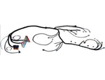 03-07 Vortec 4.8 5.3 6.0 Standalone Wiring Harness W/T56 Drive