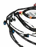 Standalone K Series Engine Harness For Fueltech FT550 K20 K24 Built In Fusebox K Swap EG EK DC RWD