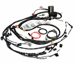 Standalone K Series Engine Harness For Fueltech FT550 K20 K24 Built In Fusebox K Swap EG EK DC RWD