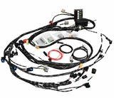 Standalone K Series Engine Harness For Fueltech FT550 K20 K24 Built In Fusebox K Swap EG EK DC RWD