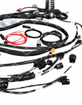 Standalone K Series Engine Harness For Fueltech FT550 K20 K24 Built In Fusebox K Swap EG EK DC RWD