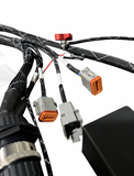 Standalone K Series Engine Harness For Fueltech FT550 K20 K24 Built In Fusebox K Swap EG EK DC RWD