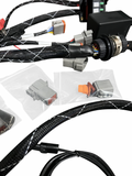 Standalone K Series Engine Harness For Fueltech FT550 K20 K24 Built In Fusebox K Swap EG EK DC RWD