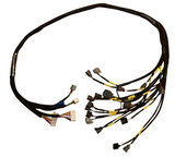 Budget D & B Series Tucked Engine Harness Civic Integra B16 B18 B20 D16 D15