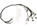 D F Series Tucked Engine Harness Kit For Honda Acura Accord F18 F20 F22 F23 Hatch