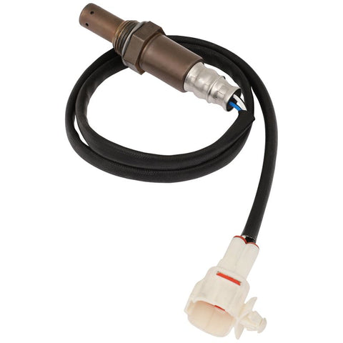 O2 Oxygen Sensor (234-4222)