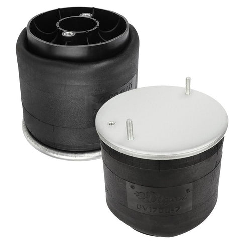 Air Spring (W01-M58-8608) - 2 pcs