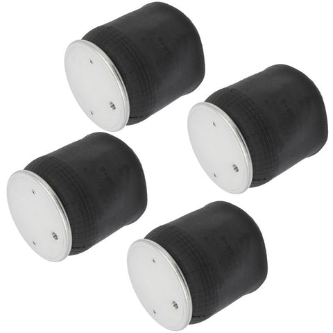 Air Spring (W01-358-8864) - 4 pcs